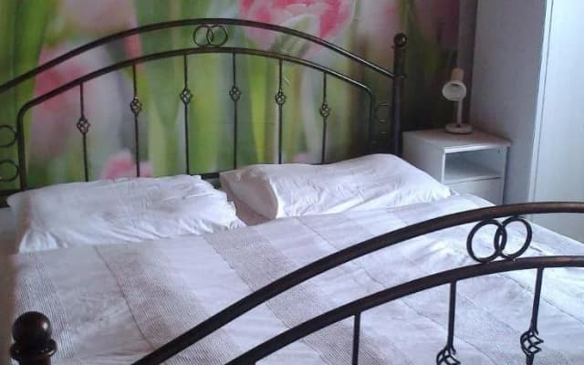 Pension Lucie - photo 5