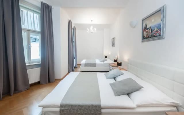 Slovansky Dum Boutique Apartments - photo 5