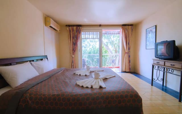 Anda Orange Pier Guesthouse - photo 4