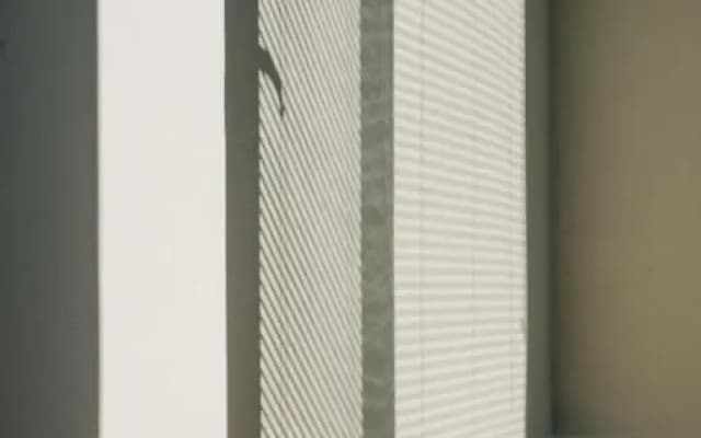 D - photo 5