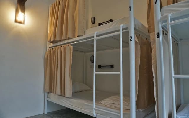 ASA Hostel - photo 5