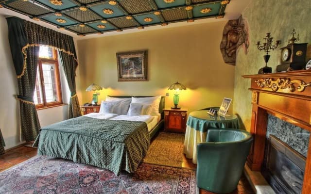 Hotel U Páva - photo 3