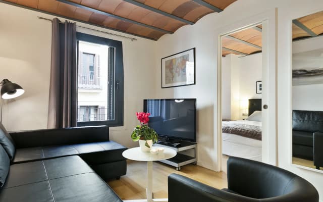 Aspasios Las Ramblas Apartments - photo 3