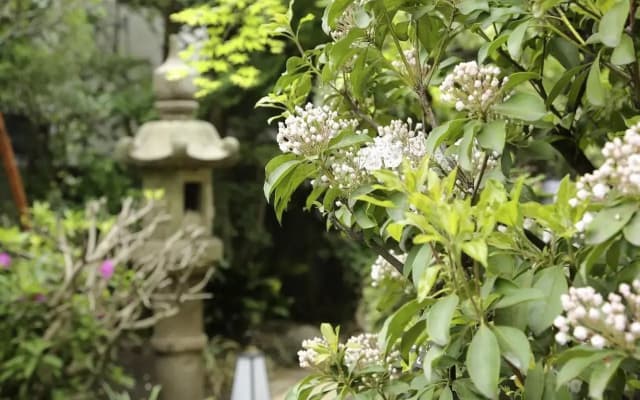 Casa Kunisaku - photo 4