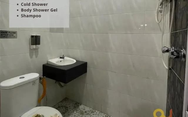 Aryan G100 Homestay - photo 5