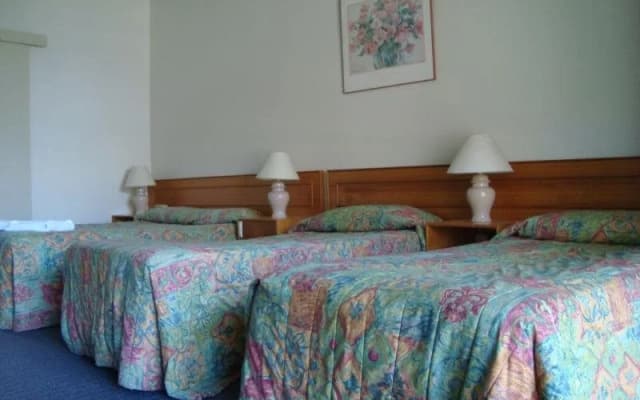 Blakehurst Motor Inn - photo 5