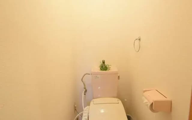 Heart Of Shinsaibashi Apartment - photo 5