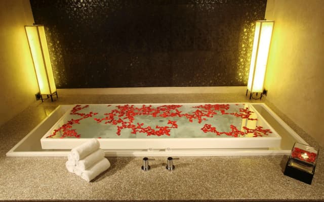 Radisson Blu Plaza Delhi Airport - photo 3