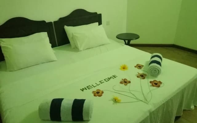 Eveyla guesthouse - photo 2