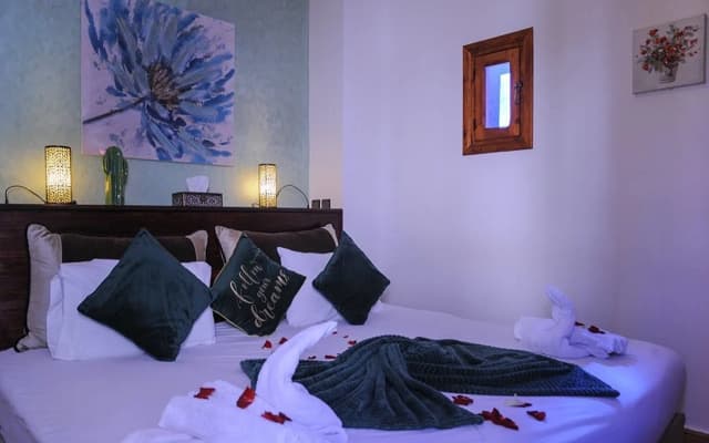 Riad L'Orchidée & SPA - photo 3