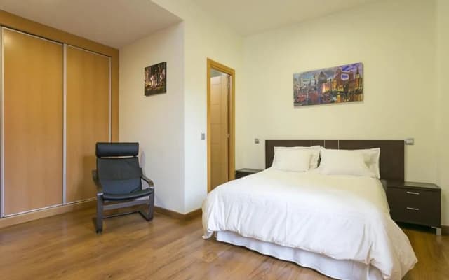 Apartments Center Madrid - photo 4