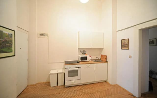 Dittrichova Apartment - photo 2
