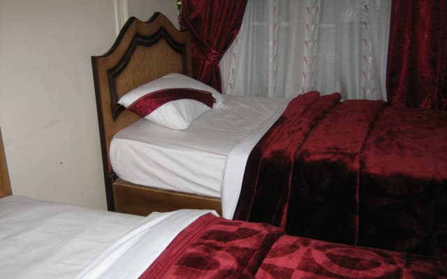 Alexander - photo 3