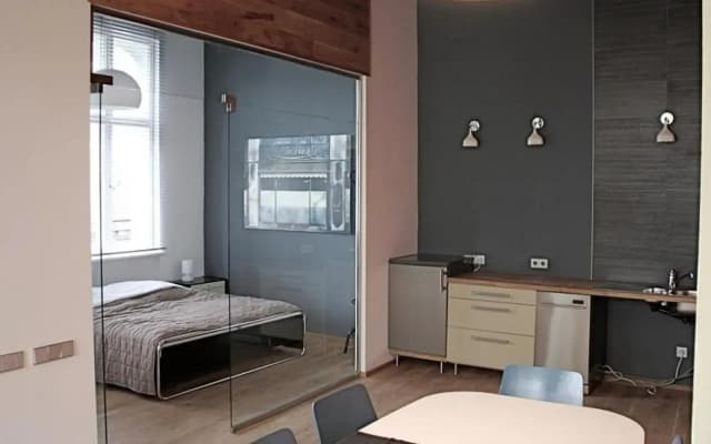 City Apartment (barrierefrei) - photo 5