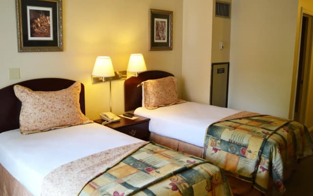 Alisa Hotel & Spa - photo 4