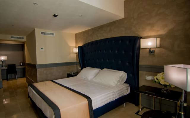 Hotel Castellino Roma - photo 4