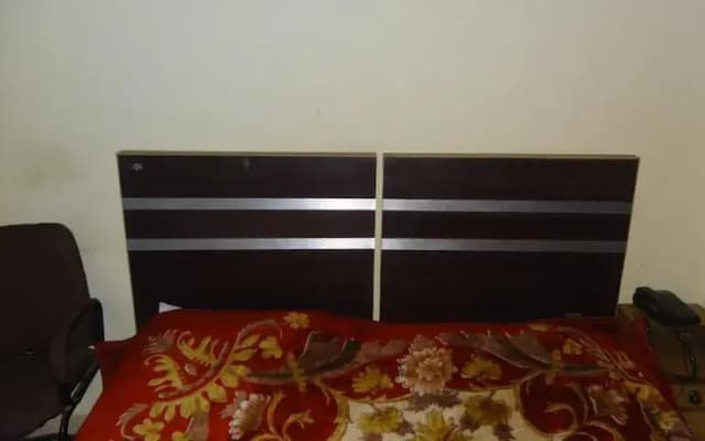 Mohini Palace - photo 4
