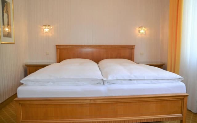 Hotel an der Wien - photo 3