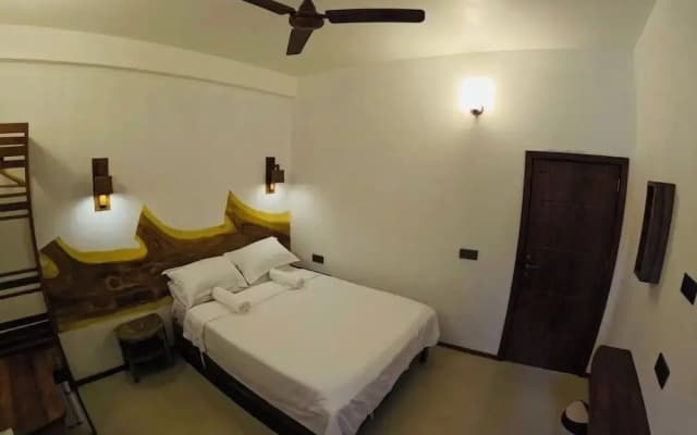 Velaa Vani - The Turtle Hive Maldives - photo 3