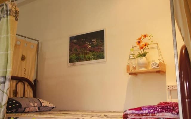 Trip Danang Hostel - photo 5