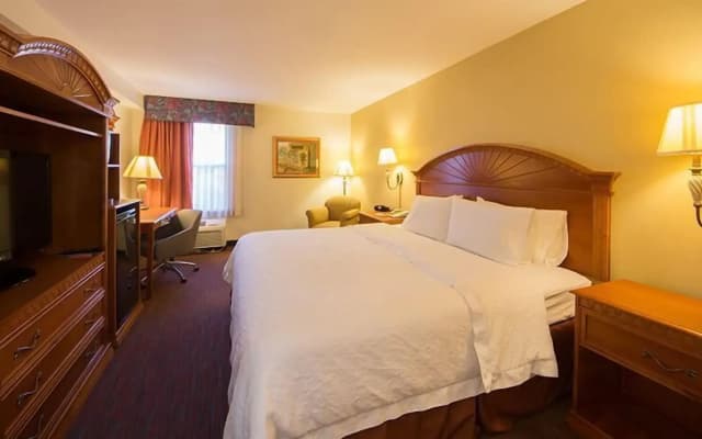 Orlando Palms Hotel - photo 5