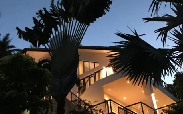 Wild Palms - photo 4
