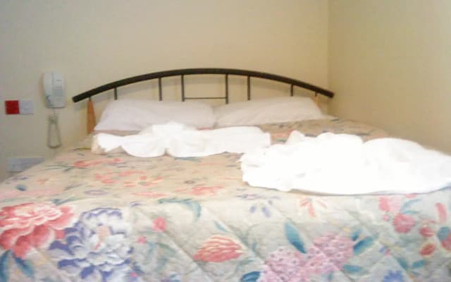 Hotel Sophia - photo 3