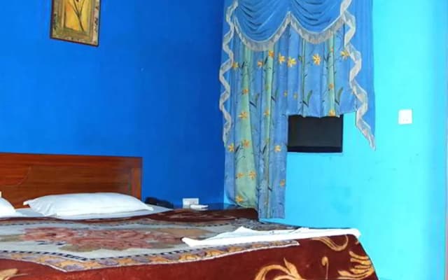Ambica Deluxe Hotel - photo 4