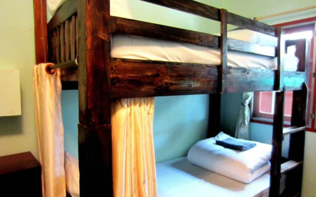 Sakura House Chiangmai - photo 5