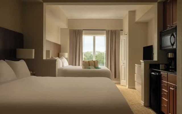 The Point Hotel & Suites Orlando - photo 5