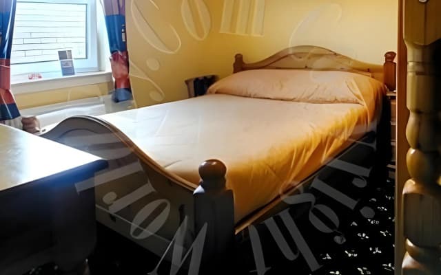 Twin Lions Hotel - photo 4
