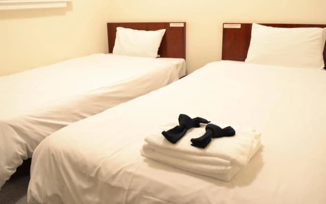 Hotel Kansai - photo 5
