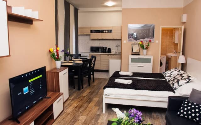 Wenceslas Square Apartment - photo 5