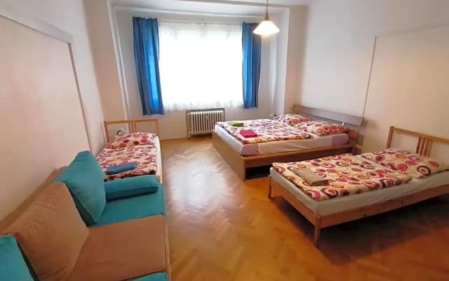 Bonvolon - photo 4