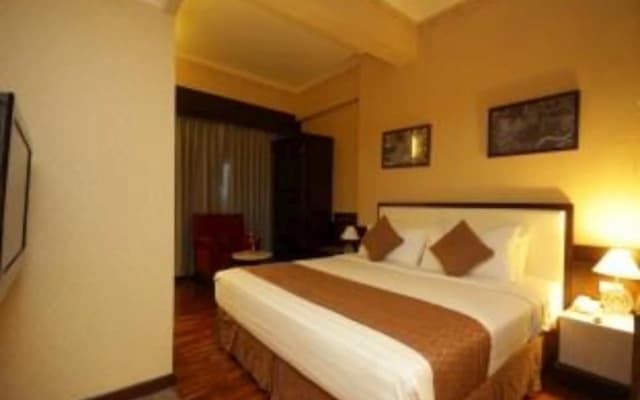 Maharadja Hotel - photo 4
