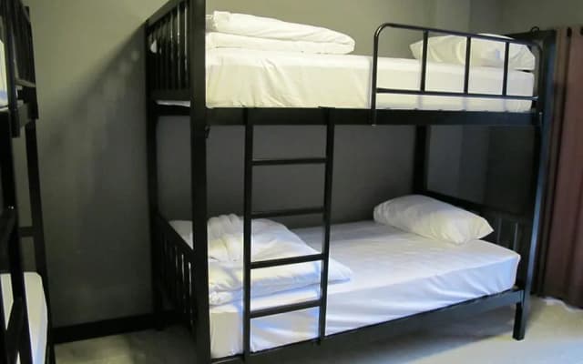 Why Not Hostel and Kitchen - photo 5
