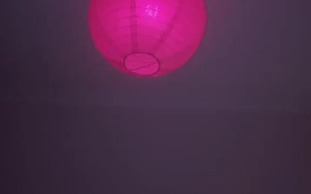 Temo S Home - photo 5