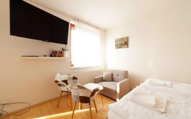 Vitkov Park Apartment - photo 2