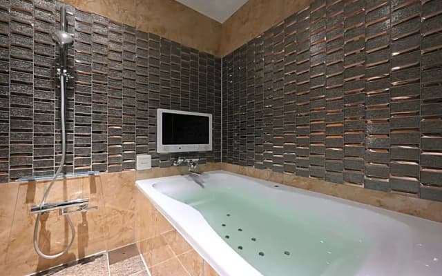 Hotel Varkin Annex - photo 4