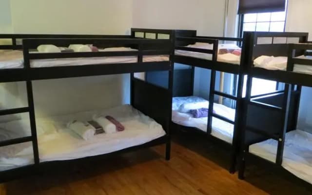 202 Hostel - photo 3