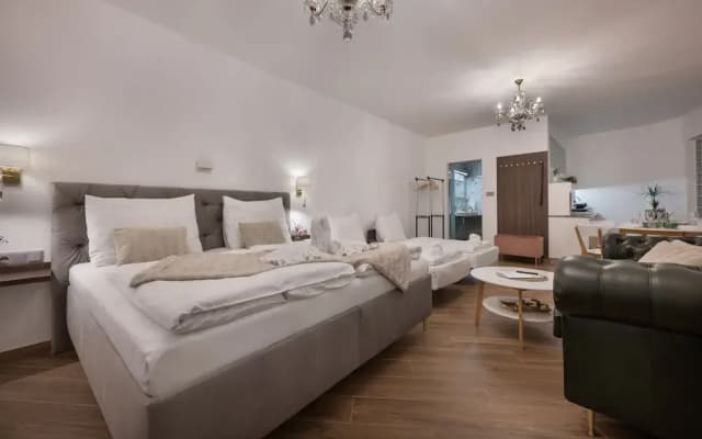 Kaiserstein Palace Apartments - photo 5