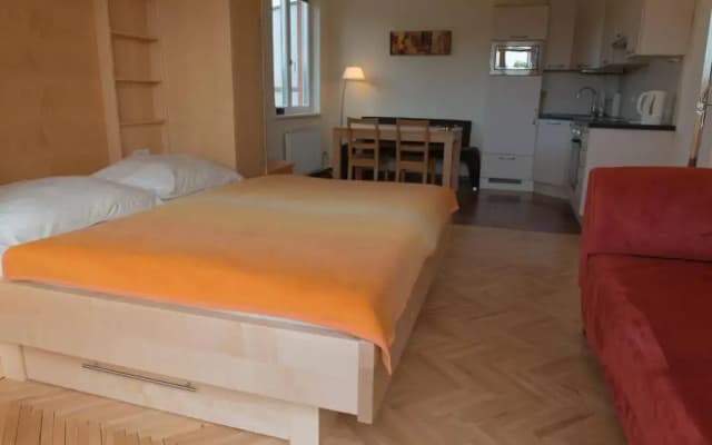 Studio Apartment Vienna - photo 4