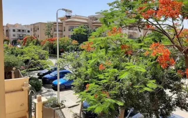 Small Friendly Apart in a Villa - New Cairo - photo 3