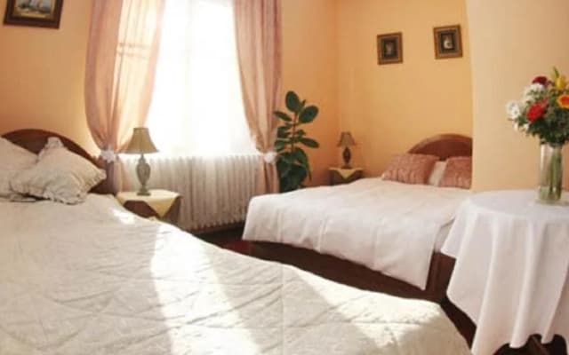 Hotel Antonie - photo 3