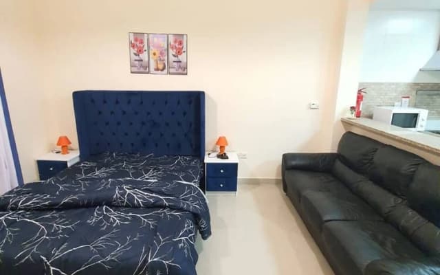 Lovely Furnished Studio With Pool - photo 3