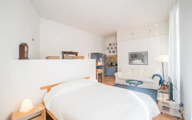 Traditional Studio Apartment - photo 4