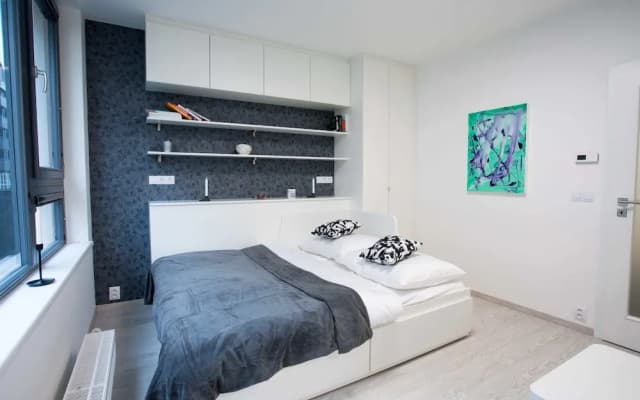 Prague Comfort Apartment - photo 3