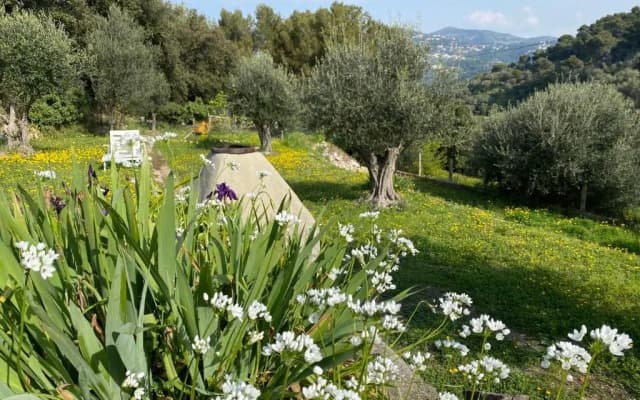 BREATHE - Unique Guest House : City center and nature - photo 3