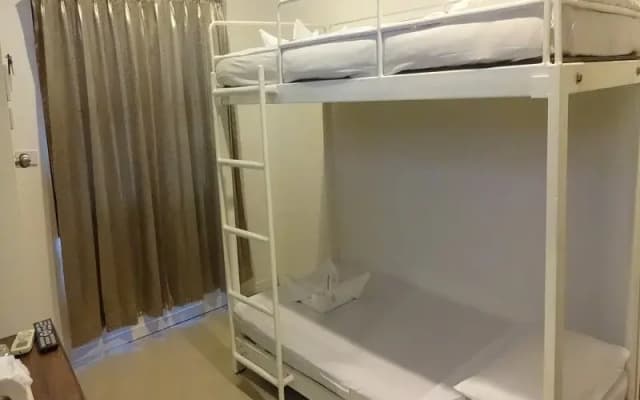 Five Elephant Hostel - photo 2