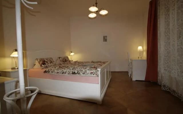 Apartment Stare Mesto Anenska - photo 2